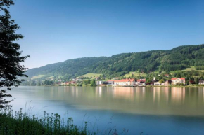 Wesenufer Hotel & Seminarkultur an der Donau, Wesenufer, Österreich